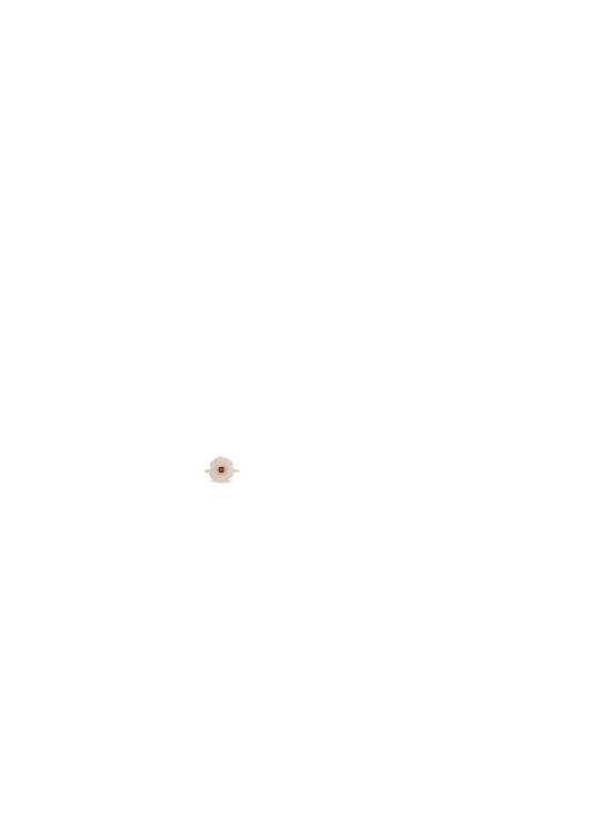 26FW 알리타 반지 RIROLD00QJYG09K GOLD