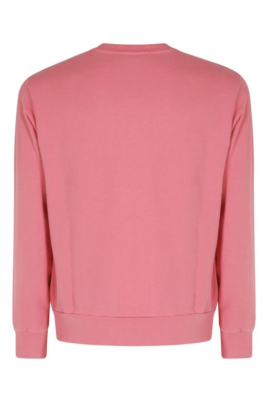 26SS 폴로 랄프로렌 포니 로고 레귤러 핏 스웨트셔츠 710916689 098 Red - POLO RALPH LAUREN