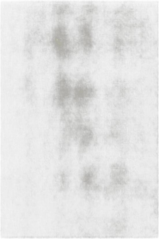25FW 루루 드 세종 머플러/스카프 SANTO IVORY WHITE - LOULOU DE SAISON