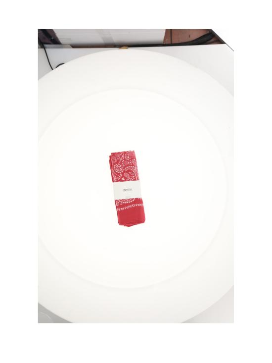 26FW 데스틴 머플러/스카프 BOX15JUDY ROSAGELATO RED - DESTIN