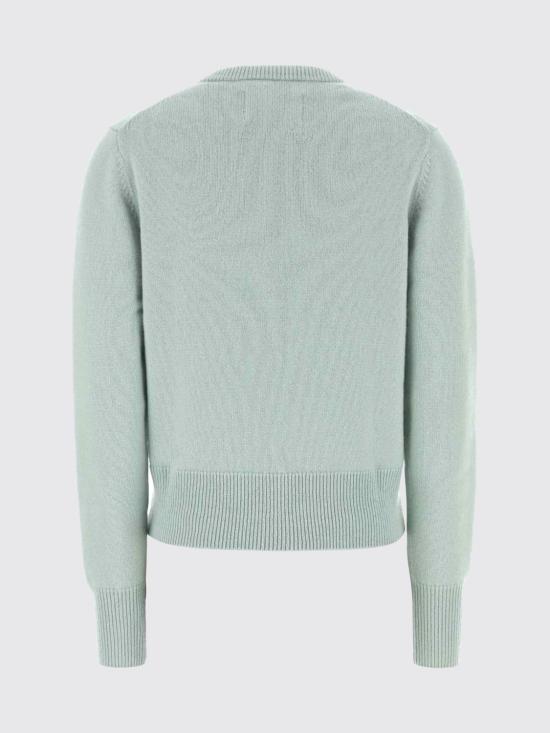 26FW 익스트림캐시미어 스웨터 43519501TU02 GLASS Transparent - EXTREME CASHMERE