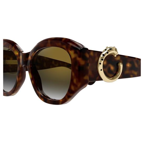  까르띠에 선글라스 CT0502S 002 Havana - CARTIER