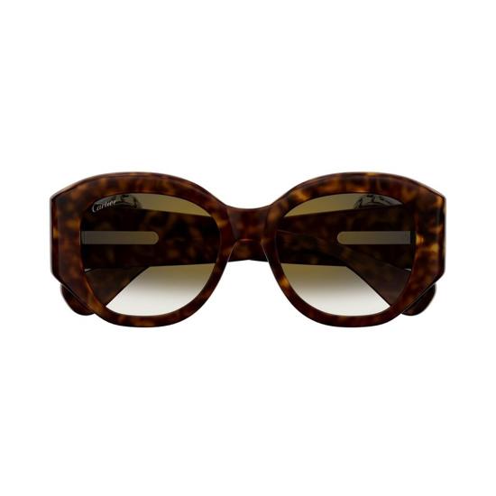  까르띠에 선글라스 CT0502S 002 Havana - CARTIER