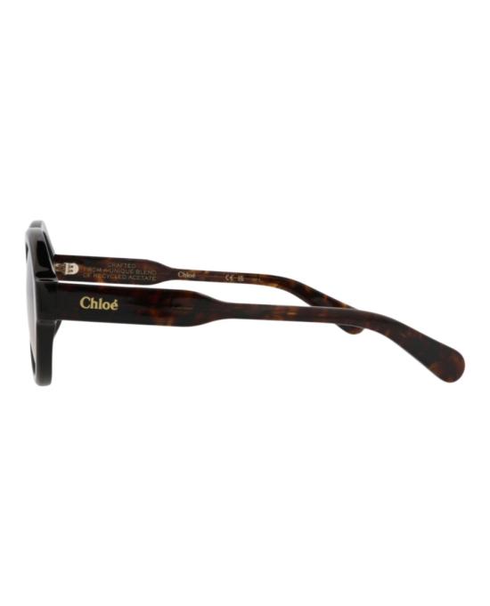  끌로에 선글라스 CH0156SK 30014195 002 20355 NS Brown - CHLOE