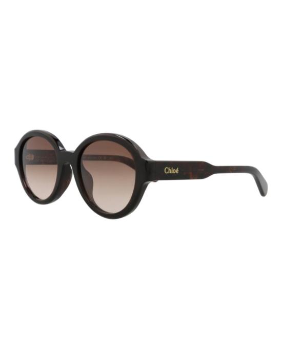  끌로에 선글라스 CH0156SK 30014195 002 20355 NS Brown - CHLOE