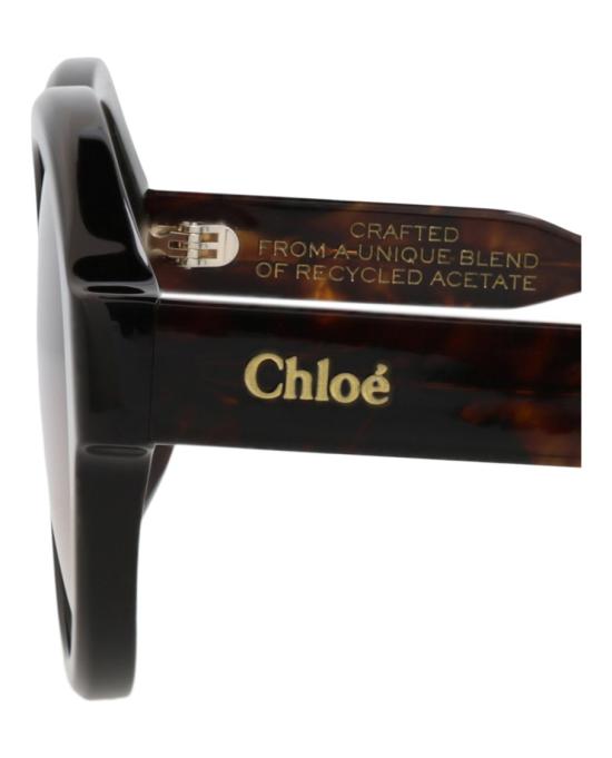  끌로에 선글라스 CH0156SK 30014195 002 20355 NS Brown - CHLOE