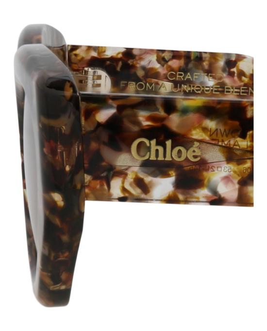  끌로에 선글라스 CH0220S 30015146 006 20355 NS Brown - CHLOE