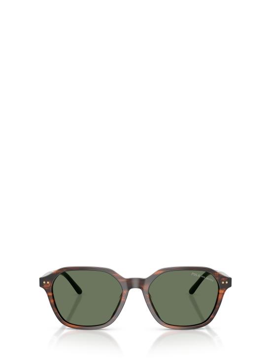 26FW 폴로 랄프로렌 선글라스 PH4234U 63159A SHINY HAVANA