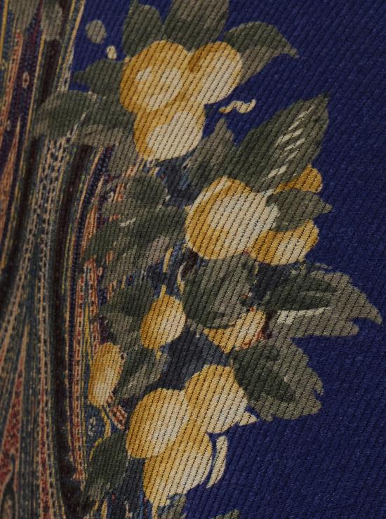 26FW 에트로 케이프 WRBD0004 MULTICOLOR - ETRO