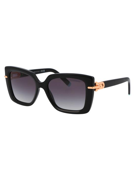  티파니앤코 선글라스 0TF4199 BLACK - TIFFANY & CO