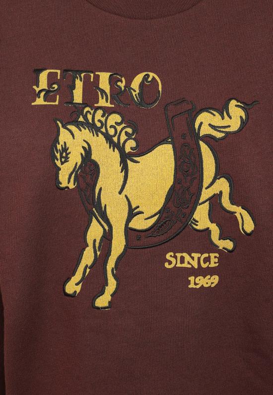 26FW 에트로 스웨터 WRMB0016 AK1BK Brown - ETRO