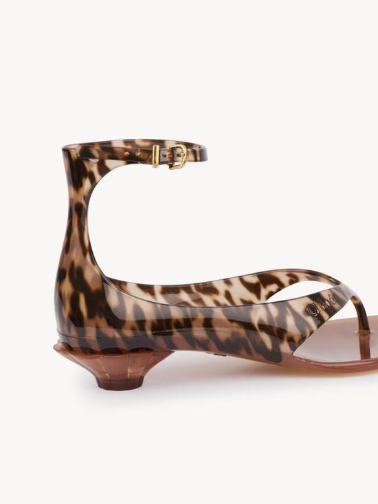 26SS 끌로에 샌들 MASTER ULT 009014 LEOPARD 36 - CHLOE