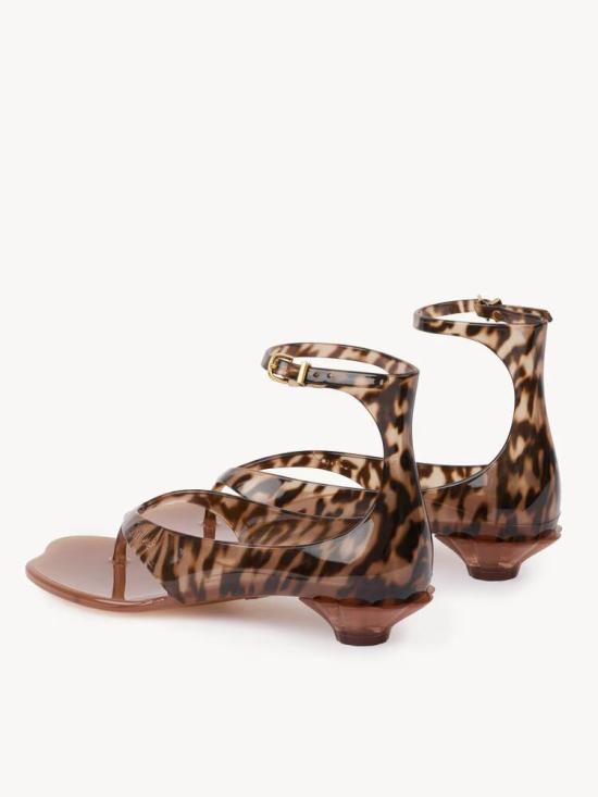 26SS 끌로에 샌들 MASTER ULT 009014 LEOPARD 36 - CHLOE