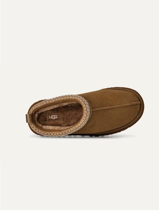 26FW 어그 부츠 치아바테 콘 플라토 타즈 II 브론조 - UGG