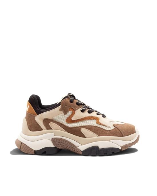 26FW 아쉬 스니커즈 6239565 Neutrals