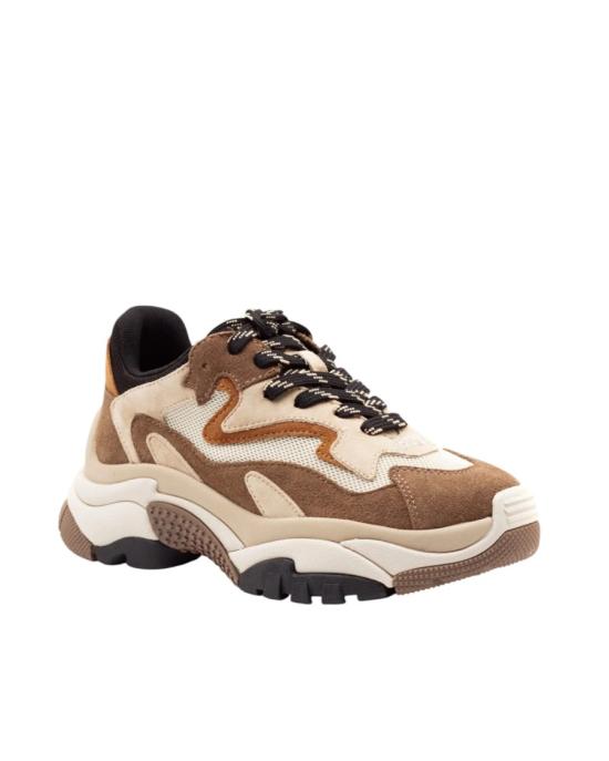26FW 아쉬 스니커즈 6239565 Neutrals - ASH
