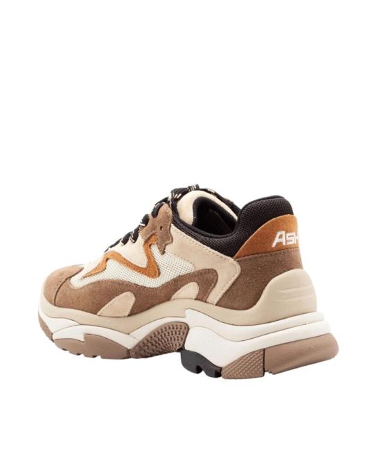 26FW 아쉬 스니커즈 6239565 Neutrals - ASH