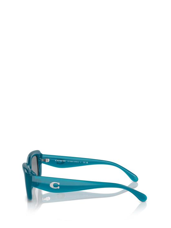 26FW 코치 선글라스 HC8390U 580655 BLUE - COACH