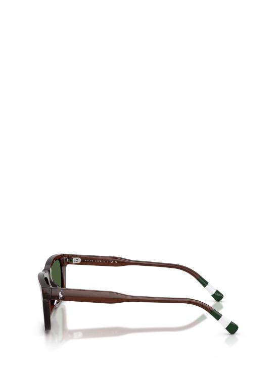 26FW 폴로 랄프로렌 선글라스 PH4240U 631571 SHINY TRANSPARENT BROWN - POLO RALPH LAUREN
