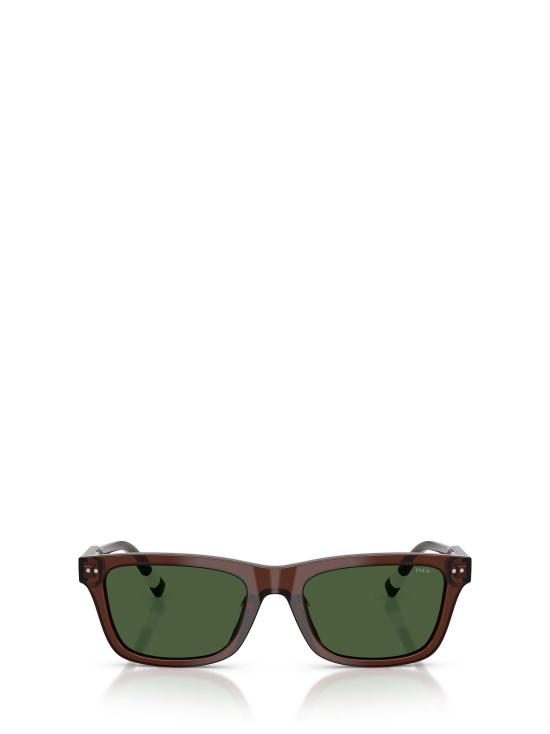 26FW 폴로 랄프로렌 선글라스 PH4240U 631571 SHINY TRANSPARENT BROWN
