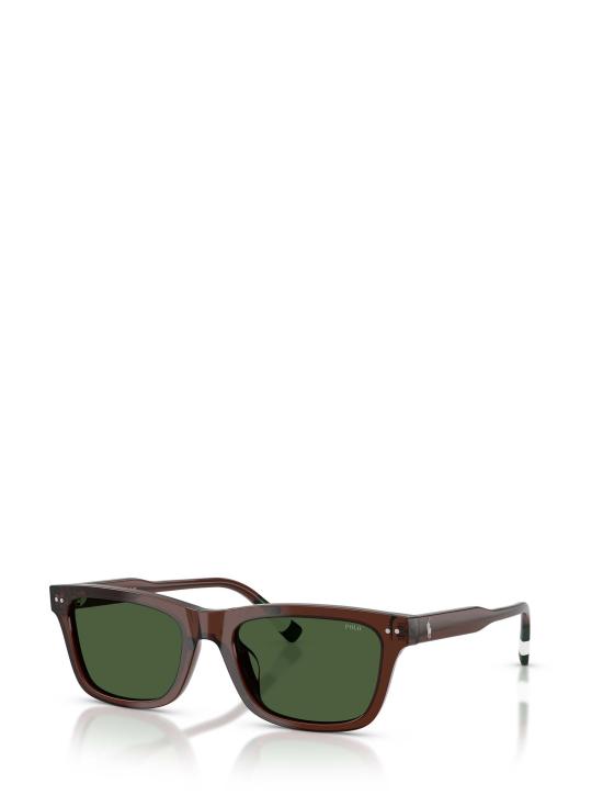 26FW 폴로 랄프로렌 선글라스 PH4240U 631571 SHINY TRANSPARENT BROWN - POLO RALPH LAUREN