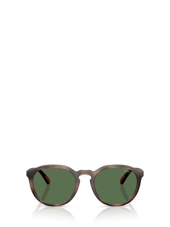 26FW 폴로 랄프로렌 선글라스 PH4232U 597471 MATTE DARK HAVANA