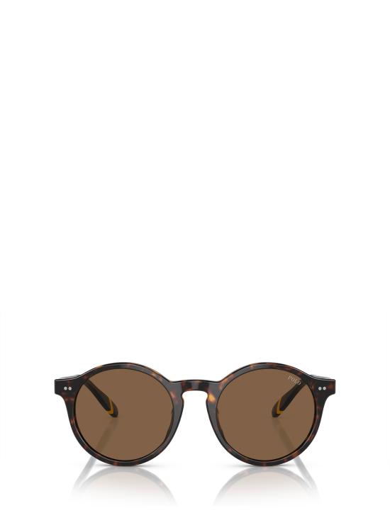 26FW 폴로 랄프로렌 선글라스 PH4204U 500373 SHINY DARK HAVANA