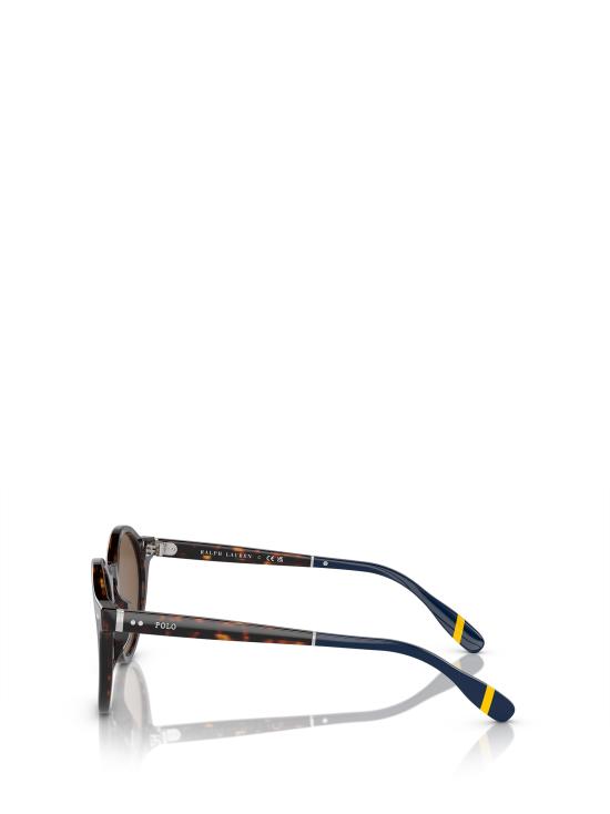26FW 폴로 랄프로렌 선글라스 PH4204U 500373 SHINY DARK HAVANA - POLO RALPH LAUREN