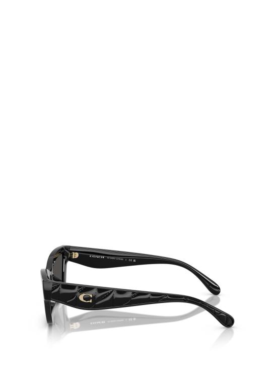 26FW 코치 선글라스 HC8420U 500287 BLACK - COACH