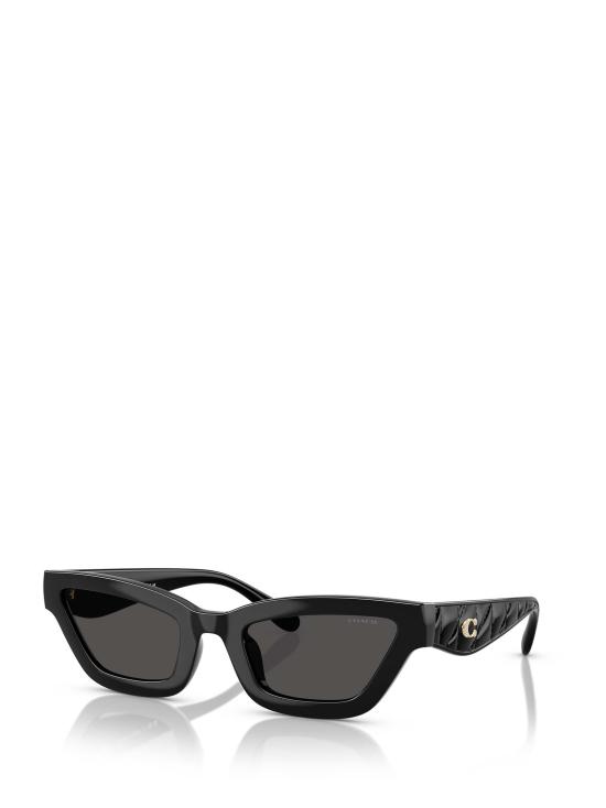 26FW 코치 선글라스 HC8420U 500287 BLACK - COACH