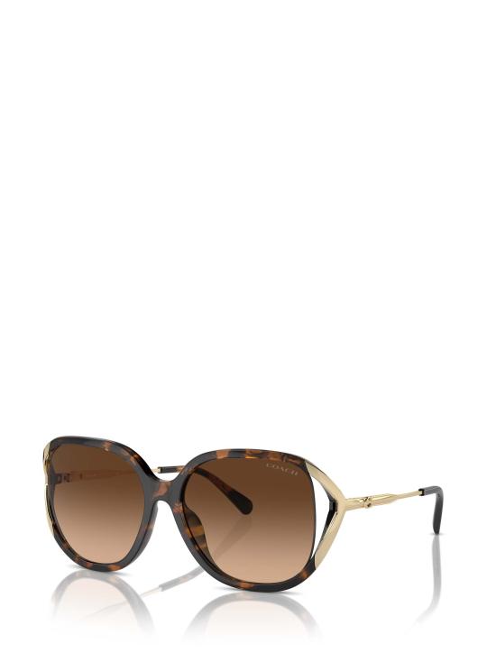 26FW 코치 선글라스 HC8396U 512074 HAVANA - COACH
