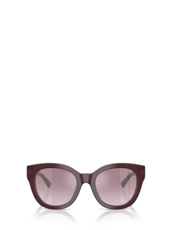 26FW 지미추 선글라스 JC5053 50866X OPALINE PRUNE