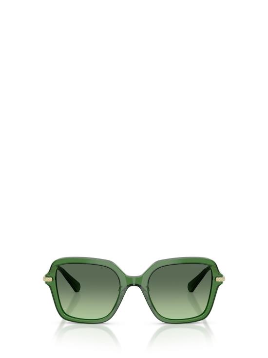 26FW 스와로브스키 선글라스 SK6040 10812A TRANSPARENT DARK GREEN