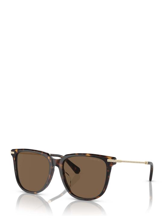 26FW 스와로브스키 선글라스 SK6015D 100273 DARK HAVANA - SWAROVSKI