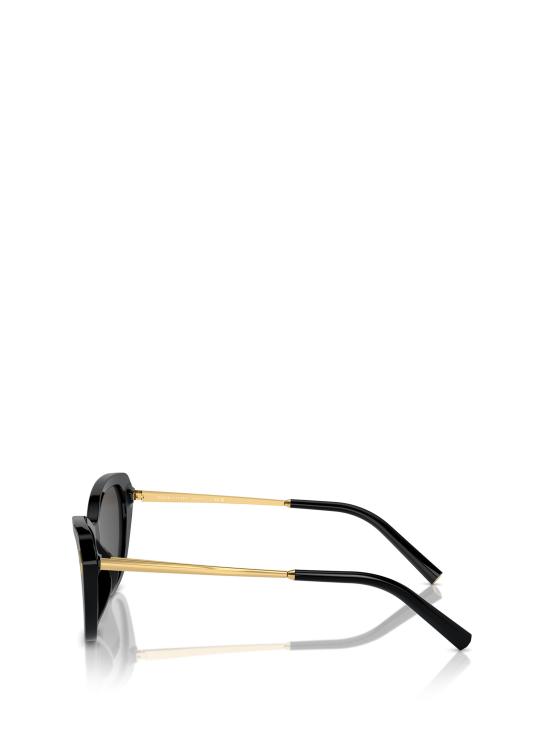 26FW 랄프 로렌 선글라스 RL8224U 500187 BLACK - RALPH LAUREN