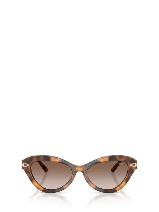 26FW 랄프 로렌 선글라스 RL8236U 608913 HAVANA