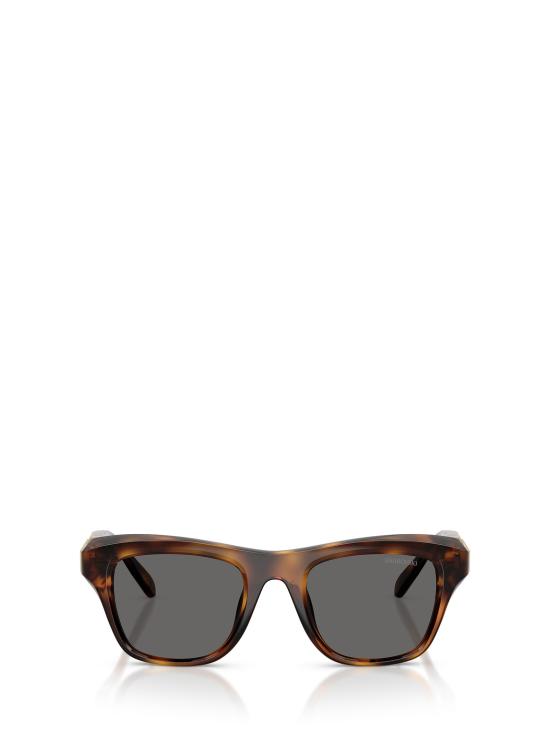 26FW 스와로브스키 선글라스 SK6056U 100287 HAVANA