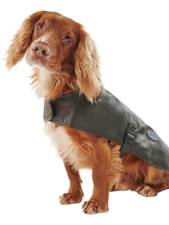 26FW 바버 애견 코트 DCO0003 OL71 GREEN - BARBOUR