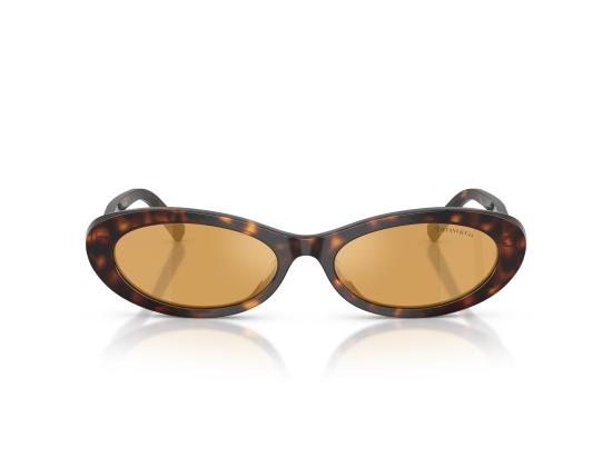 26FW 티파니앤코 선글라스 0TF4250 BROWN - TIFFANY & CO
