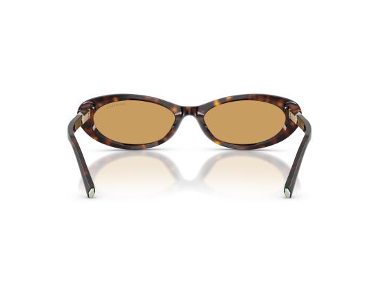 26FW 티파니앤코 선글라스 0TF4250 BROWN - TIFFANY & CO