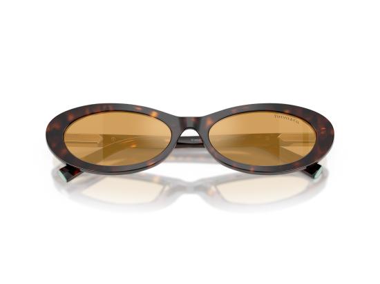 26FW 티파니앤코 선글라스 0TF4250 BROWN - TIFFANY & CO