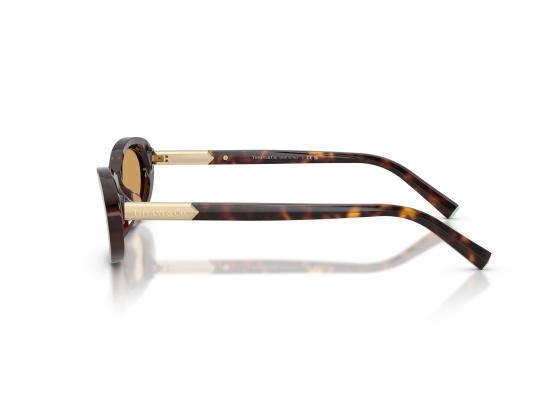 26FW 티파니앤코 선글라스 0TF4250 BROWN - TIFFANY & CO