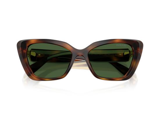 26FW 스와로브스키 선글라스 0SK6047 BROWN - SWAROVSKI
