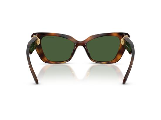 26FW 스와로브스키 선글라스 0SK6047 BROWN - SWAROVSKI