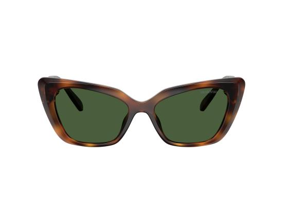 26FW 스와로브스키 선글라스 0SK6047 BROWN - SWAROVSKI