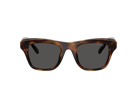 26FW 스와로브스키 선글라스 0SK6056U BROWN - SWAROVSKI