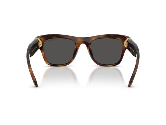 26FW 스와로브스키 선글라스 0SK6056U BROWN - SWAROVSKI
