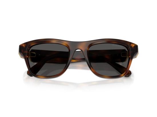 26FW 스와로브스키 선글라스 0SK6056U BROWN - SWAROVSKI