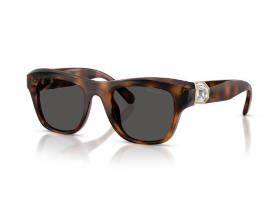26FW 스와로브스키 선글라스 0SK6056U BROWN - SWAROVSKI