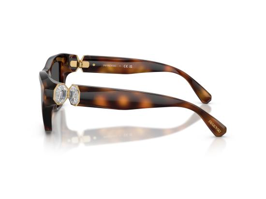 26FW 스와로브스키 선글라스 0SK6056U BROWN - SWAROVSKI